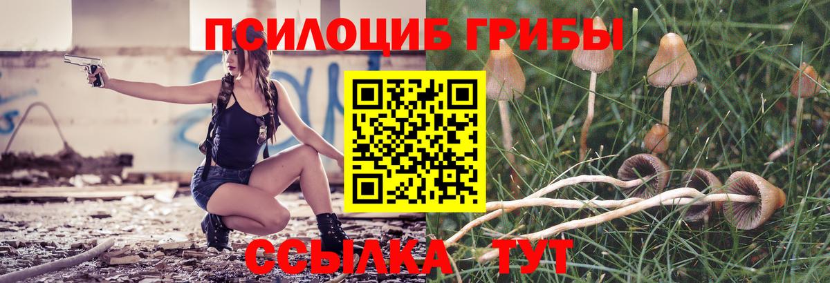 Псилоцибиновые грибы мухоморы  Вход с VPN  Псилоцибиновые грибы ЛСД  Свободный 
